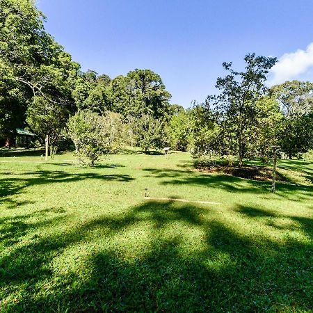 Refugio Ecologico Amadamata Hotel โนวาฟริบูร์โก ภายนอก รูปภาพ