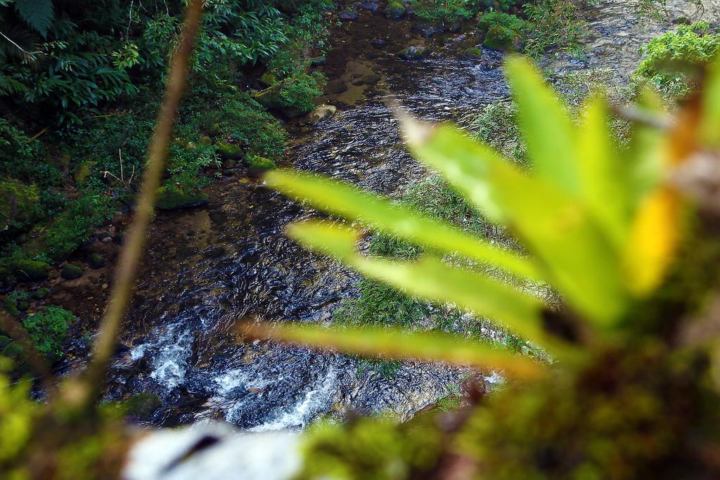 Refugio Ecologico Amadamata Hotel โนวาฟริบูร์โก ภายนอก รูปภาพ